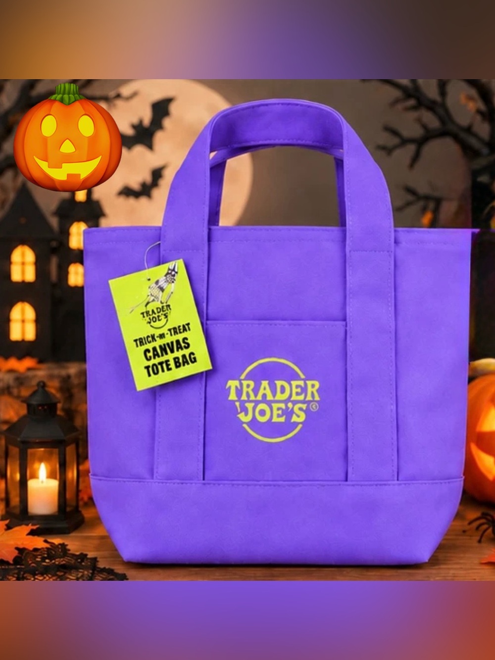 Trader Joe's Reusable Mini Canvas Tote Bag purple Colorblock 13x6x11